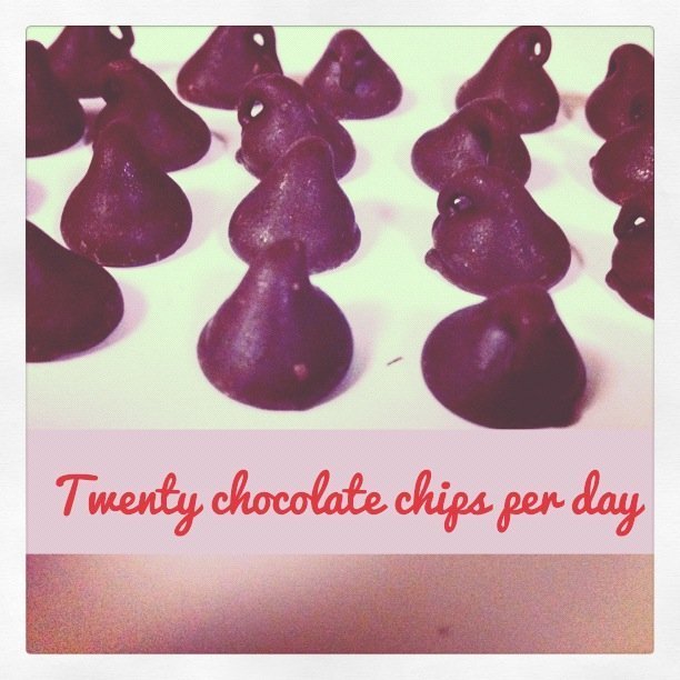 twenty chocolate chips per day