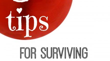 HillJean’s Holiday Handbook: Surviving Family<hillijdate>Nov 20th</hillijdate> 5 tips