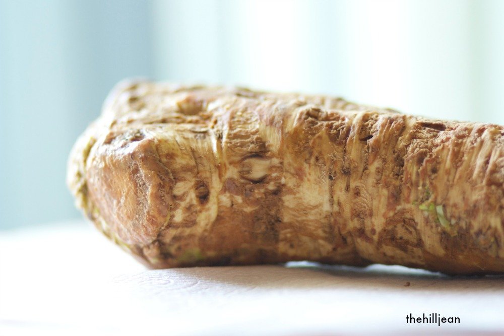 raw horseradish root