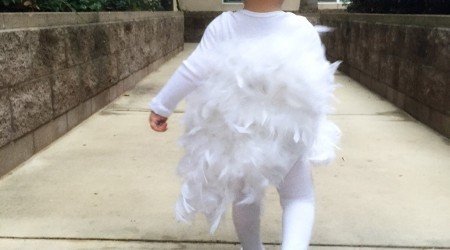 I cannot control any of my children<hillijdate>Nov 04th</hillijdate> Running chicken