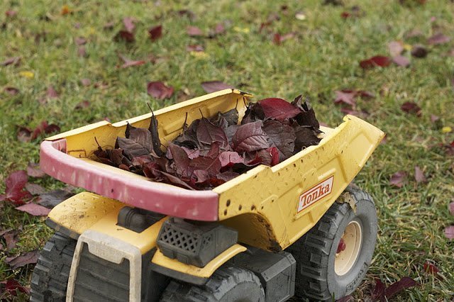 Wordful Wednesday: What It Is To Build A Leaf Pile