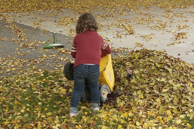 Wordful Wednesday: What It Is To Build A Leaf Pile