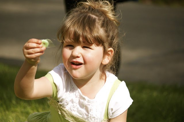 Wordful Wednesday: A Picnic Without Picnik