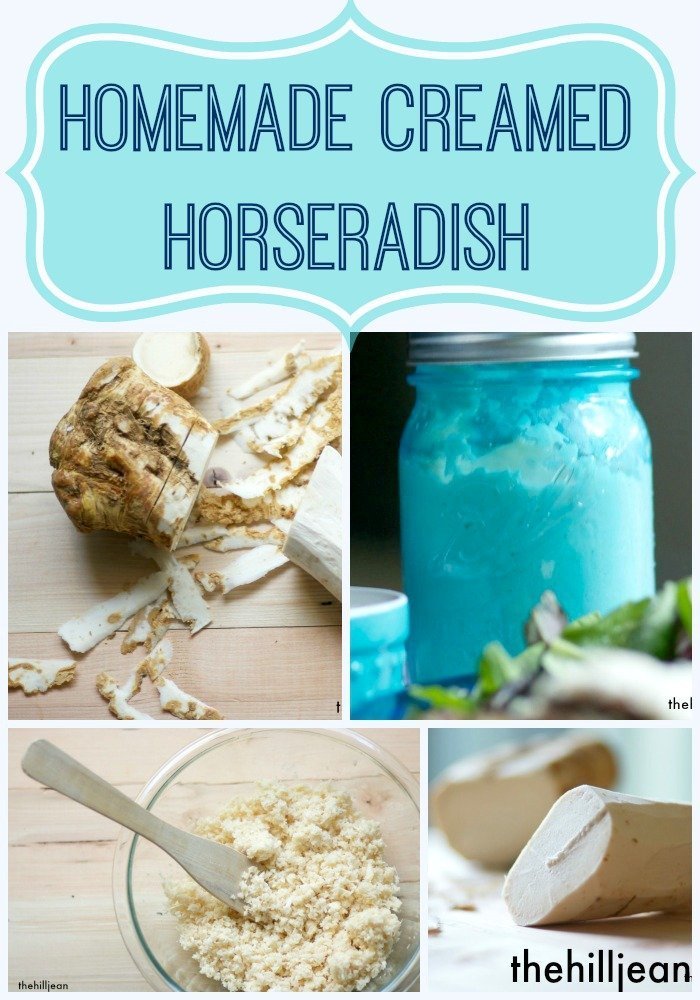 creamed horseradish